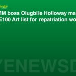NCMM boss Olugbile Holloway makes TIME100 Art list for repatriation work